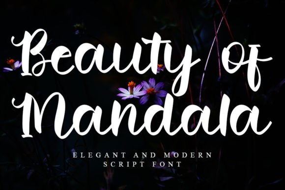 Beauty of Mandala Font for Web Design