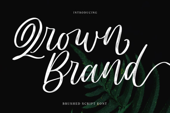 Designing with Qrown Brand: A Cursive Script for Editorial Stories