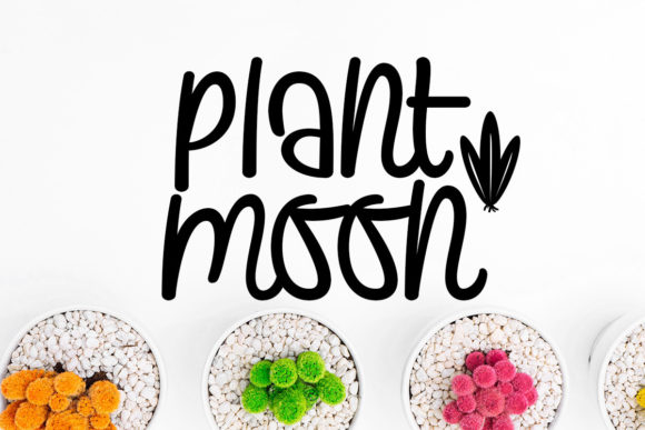 Plants and Moon: A Whimsical Script for Modern Design